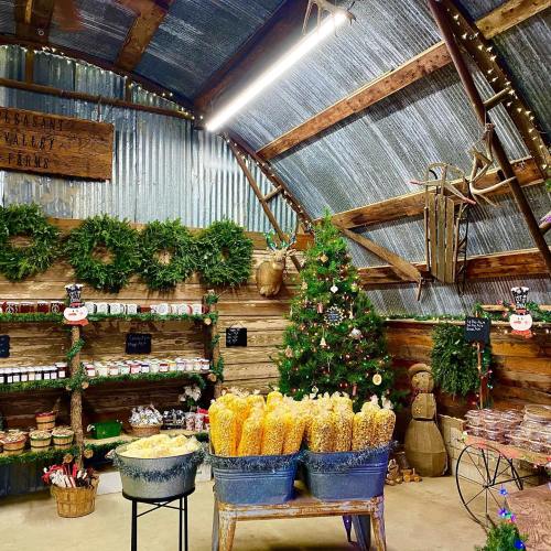 A rustic barn interior decorated for the holidays, featuring shelves of goods, wreaths, and a small Christmas tree.