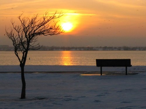 A sunset over a calm lake, with a bare tree and a bench on a snowy shore.
