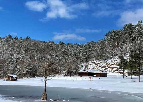 A snowy landscape with a frozen lake, surrounded by pine trees and a small cabin in the foreground. Bright blue sky above.