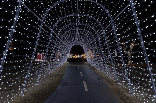 A pathway illuminated by a tunnel of white lights, creating a festive and enchanting atmosphere.