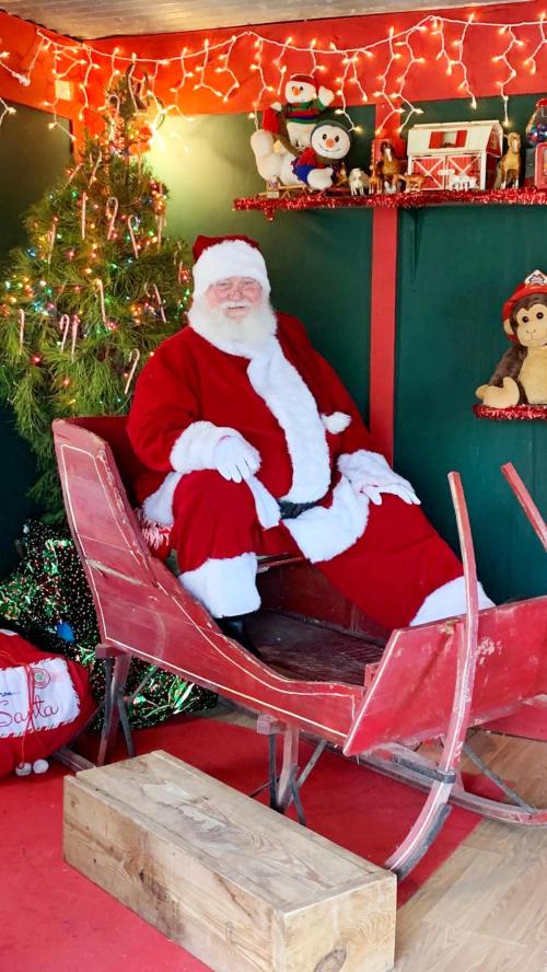 Santa Claus in a red suit sits in a festive sleigh, surrounded by holiday decorations and a Christmas tree.