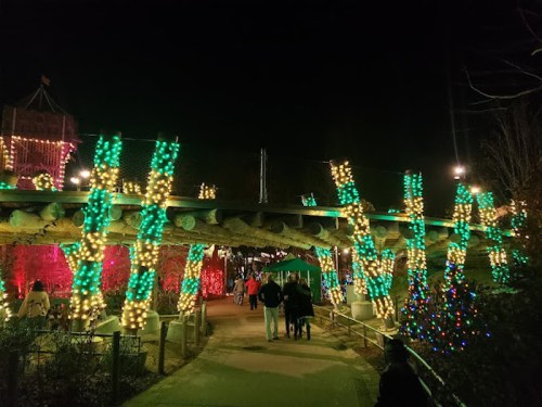 A festive pathway illuminated with colorful holiday lights, surrounded by greenery and decorations at night.