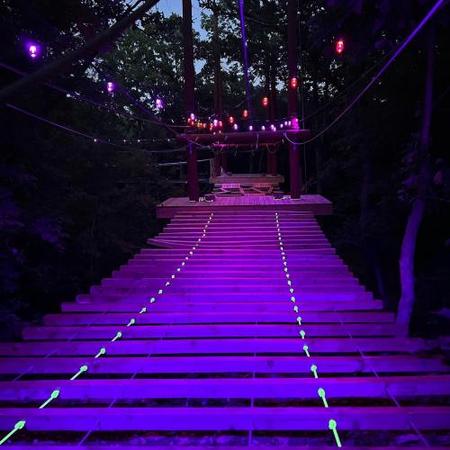 A wooden pathway illuminated by purple lights, leading through a forest with glowing green markers along the edges.
