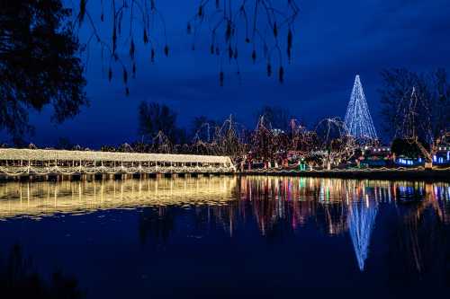 A serene night scene featuring a lake reflecting colorful holiday lights and a large illuminated tree in the background.