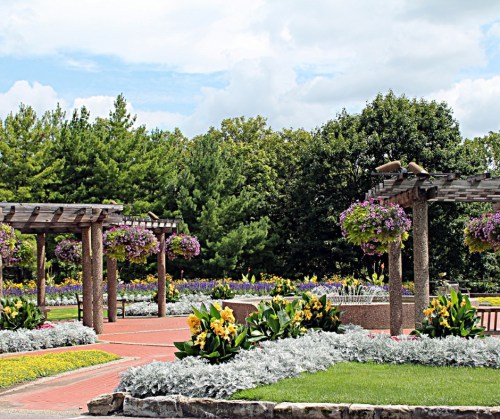 A vibrant garden with colorful flowers, pergolas, and lush greenery under a partly cloudy sky.