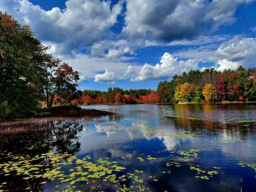 A serene lake surrounded by vibrant autumn foliage and fluffy clouds reflecting on the water's surface.