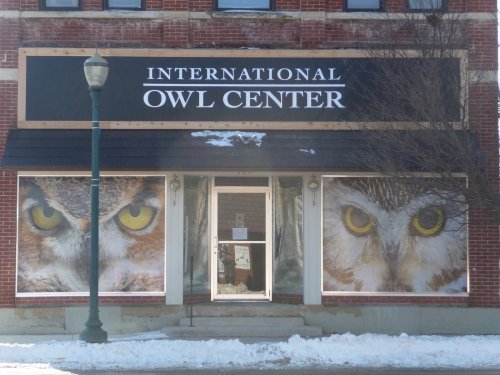 Exterior of the International Owl Center, featuring large owl eye images on windows and a sign above the entrance.