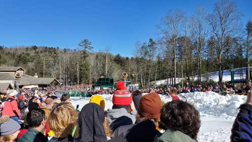 A crowd gathers in a snowy area, watching an outdoor event against a backdrop of trees and clear blue sky.