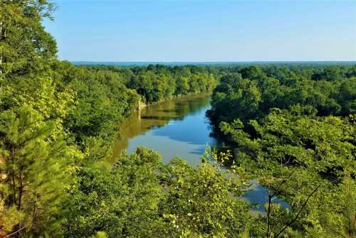 A serene river winding through lush green trees under a clear blue sky.