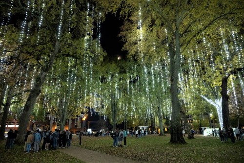A park illuminated with hanging lights, surrounded by trees and a crowd of people enjoying the festive atmosphere at night.