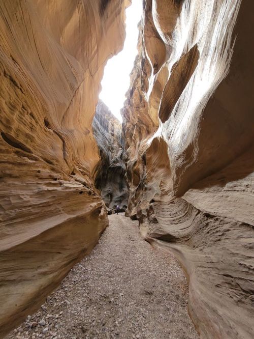 Narrow canyon with smooth, layered rock walls and a gravel path leading through, illuminated by sunlight above.