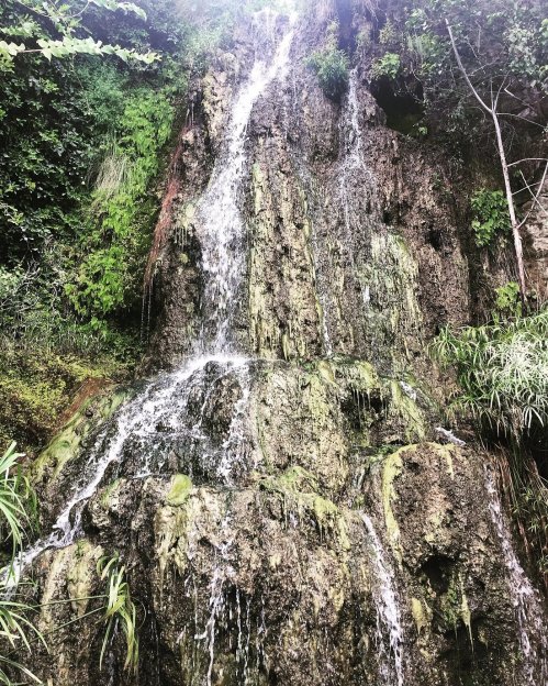 A cascading waterfall flows down a rocky surface, surrounded by lush green vegetation.