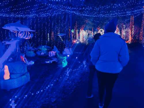 A person walks through a pathway illuminated by blue lights and colorful decorations in a festive display.