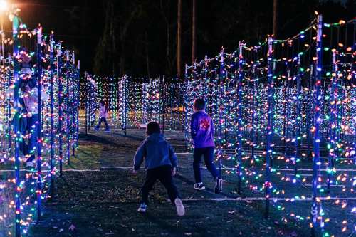 Children play in a vibrant, illuminated maze of colorful lights at night.