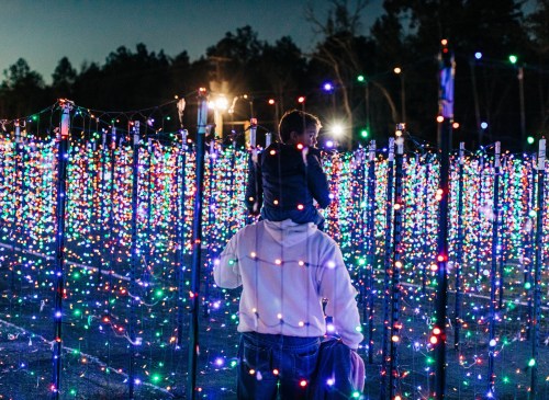 A person carries a child on their shoulders in a colorful, illuminated field of lights at dusk.
