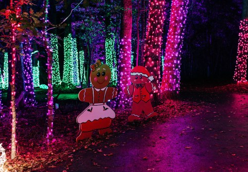 Colorful holiday lights illuminate a forest path, featuring gingerbread figures in festive attire.