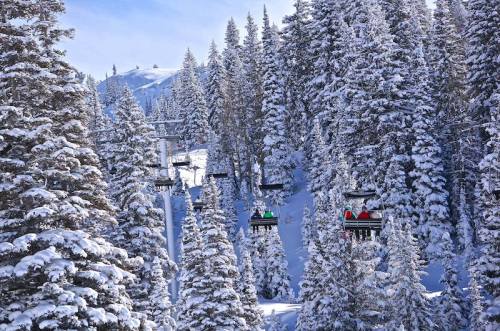 Ski lift chairs ascend through a snowy forest, surrounded by tall evergreen trees blanketed in fresh snow.