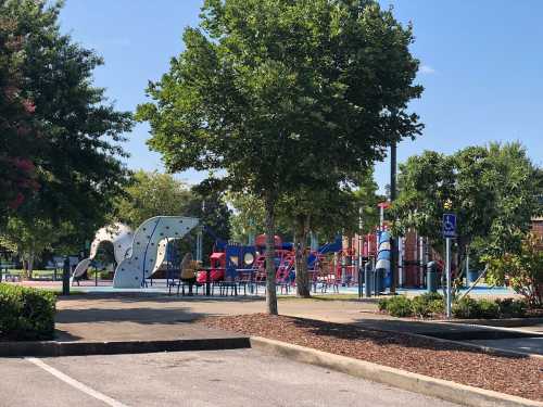 A playground with climbing structures and slides, surrounded by trees and a parking lot on a sunny day.