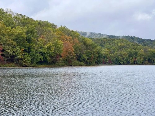 A serene lake surrounded by lush green trees, with hints of autumn colors and misty hills in the background.