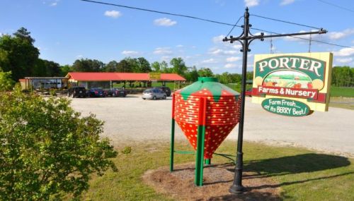 A colorful sign for Porter Farms & Nursery with a strawberry-shaped structure in front and a parking area visible.