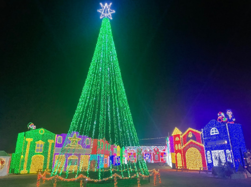 A brightly lit Christmas tree with colorful decorations stands among illuminated buildings at night.