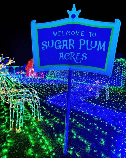 A colorful sign reading "Welcome to Sugar Plum Acres" surrounded by vibrant holiday lights and decorations.