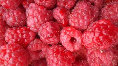 A close-up of fresh, plump red raspberries piled together, showcasing their vibrant color and texture.
