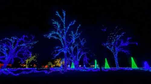 A nighttime scene featuring trees and geometric shapes illuminated with vibrant blue and green holiday lights.