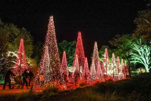 A festive display of illuminated Christmas trees in red lights, set against a dark night sky.