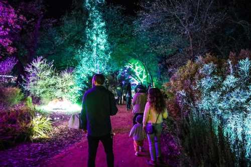 A group of people walks along a path illuminated by colorful lights in a garden at night.