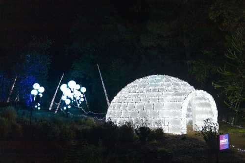 A glowing igloo made of lights, surrounded by illuminated spheres and trees in a dark outdoor setting.