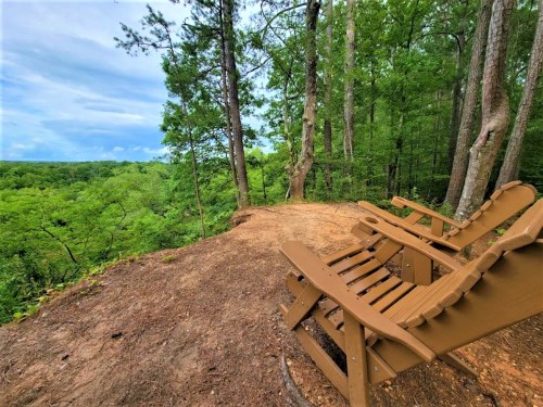 Two wooden chairs overlook a lush green forest, surrounded by tall trees under a partly cloudy sky.