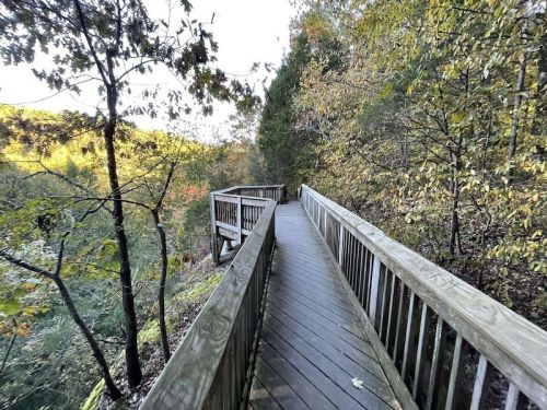 A wooden boardwalk winding through a forest with trees and autumn foliage on either side.