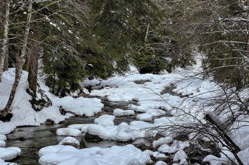 A serene winter scene of a snow-covered creek surrounded by trees, with smooth snowdrifts lining the water's edge.