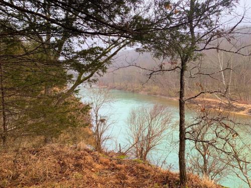 A serene river flows through a misty landscape, framed by trees and bare branches along the banks.