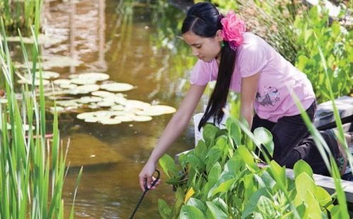 A girl with a pink flower in her hair kneels by a pond, reaching into the water among lily pads and greenery.