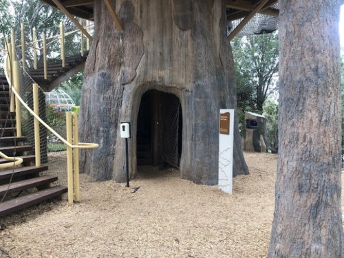 Entrance to a large treehouse with wooden stairs and informational signs, surrounded by trees and wood chips.