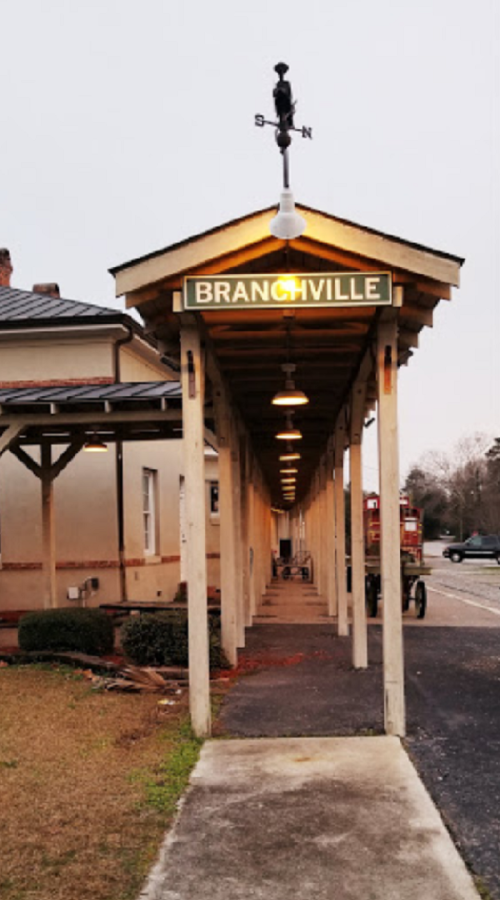 A covered walkway leading to a sign that reads "Branchtville," with lights hanging above and a grassy area nearby.