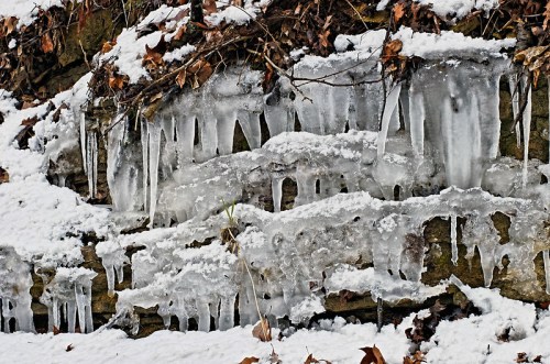Icicles hanging from a rocky surface, surrounded by snow and fallen leaves, creating a winter landscape.