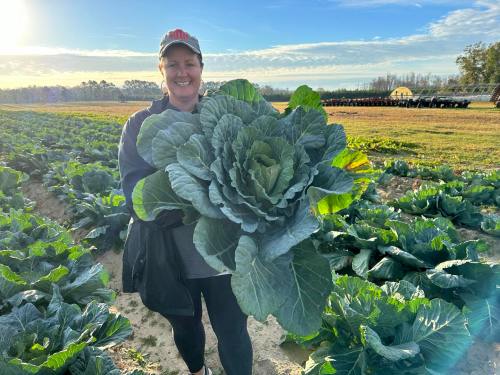A smiling woman holds a large cabbage in a field, surrounded by rows of green cabbage plants under a clear sky.