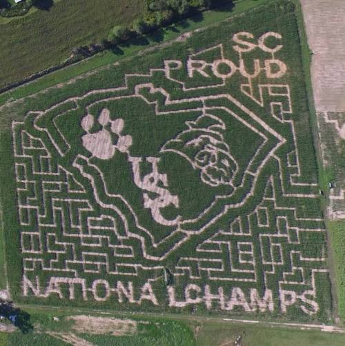 Aerial view of a corn maze featuring a paw print and text: "SC PROUD NATIONAL CHAMPS."