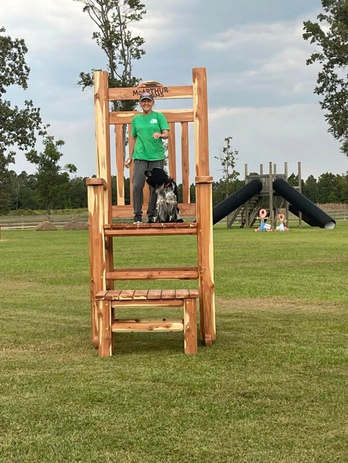 A person in a green shirt stands on a large wooden chair with a dog beside them, set in a grassy park.