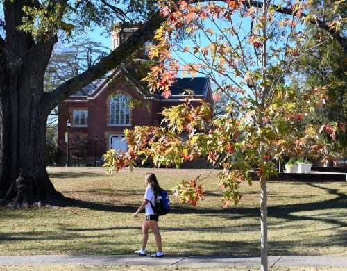 A student walks past colorful autumn leaves in front of a brick building on a sunny day.