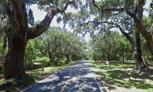 A scenic road lined with large trees draped in Spanish moss, surrounded by lush greenery.