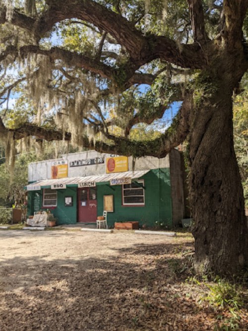 A rustic green building with a red door, surrounded by trees and Spanish moss, featuring signs for lunch and groceries.