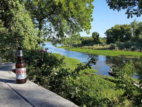 A bottle of Coors Light sits on a wooden ledge, overlooking a serene river surrounded by lush greenery.