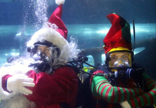 Two divers in Santa and elf costumes underwater, surrounded by bubbles and aquatic scenery.
