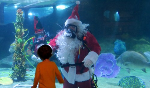 A child watches two divers in Santa suits underwater, surrounded by colorful fish and coral.