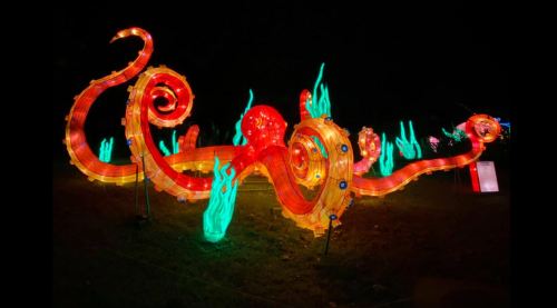 A vibrant, illuminated octopus sculpture with swirling tentacles and glowing green seaweed against a dark background.