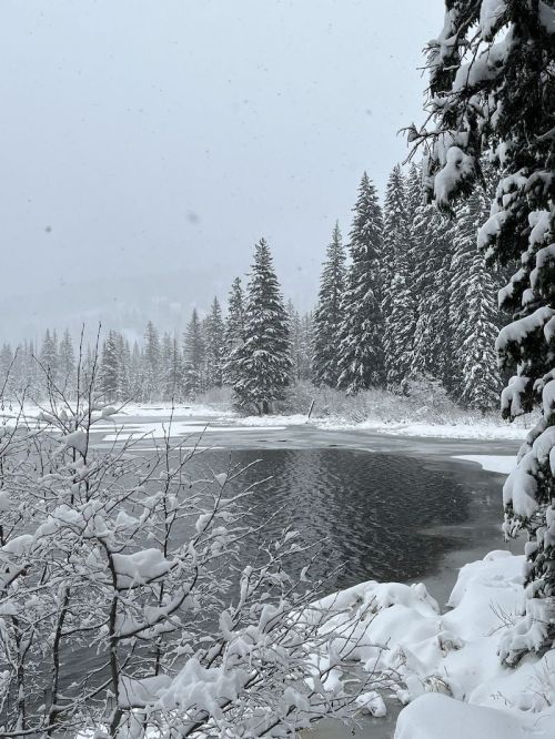 A serene winter landscape featuring a snowy lake surrounded by tall evergreen trees and falling snowflakes.